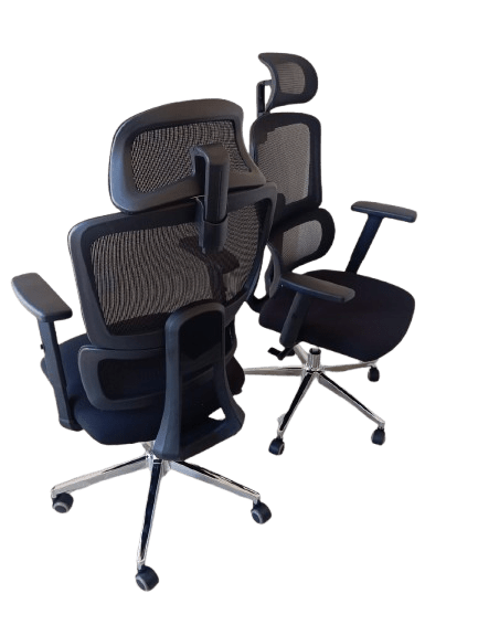 Ergonomic Executive Mesh Office Chair - Enkaji Households