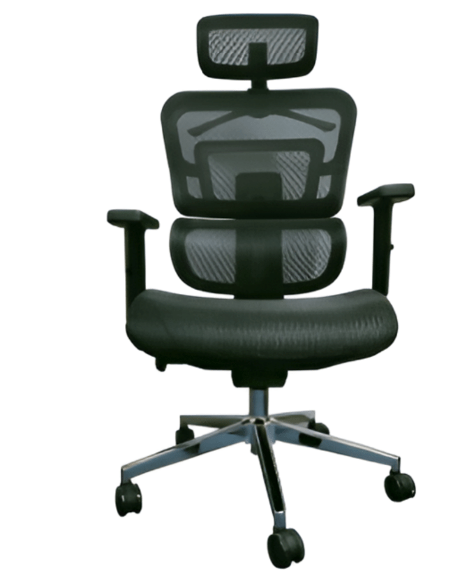 Ergonomic Executive Mesh Office Chair - Enkaji Households
