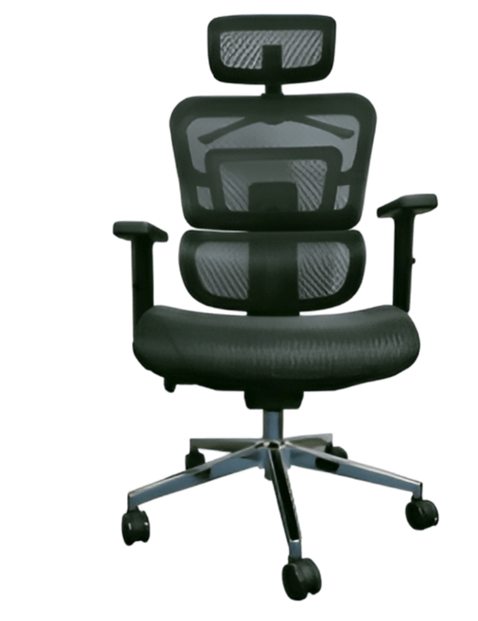 Ergonomic Executive Mesh Office Chair - Enkaji Households