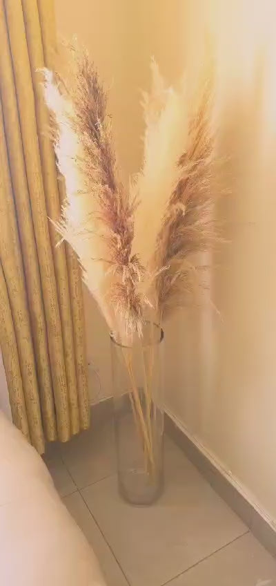 Big Fluffy Pampas Grass – Elegant Decorative Dried Flowers for Home Décor