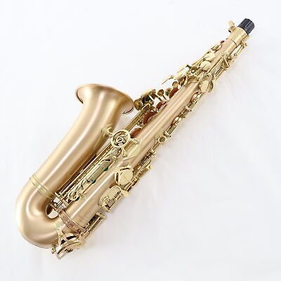 Professional Tenor Saxophone – Brass Body, Gold Lacquer Finish - Enkaji Households