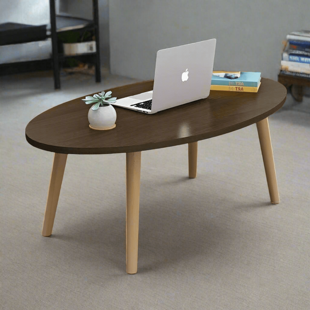 Shee Nordic Oval Coffee Table - Enkaji Households